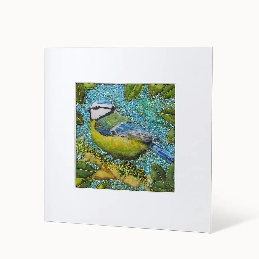 Meantán Gorm -  Blue Tit
