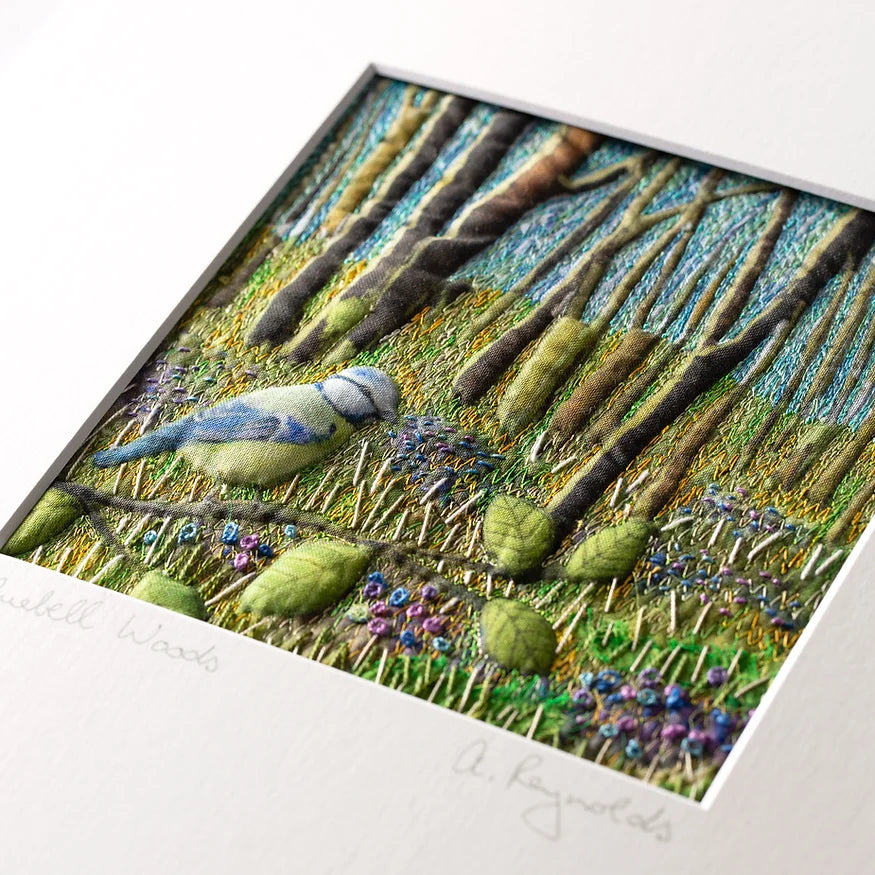 Bluebell Woods