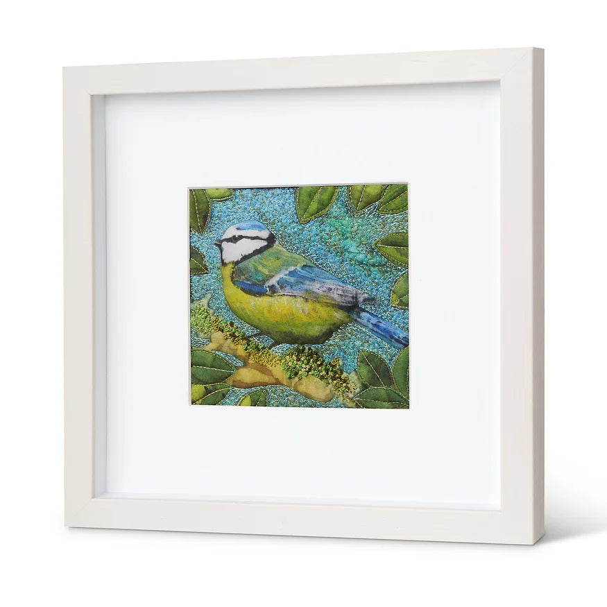 Meantán Gorm -  Blue Tit