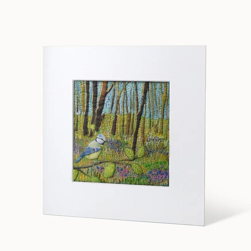 Bluebell Woods