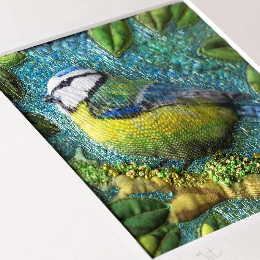 Meantán Gorm -  Blue Tit