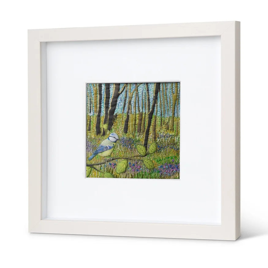 Bluebell Woods