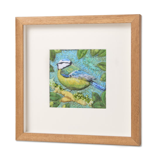 Meantán Gorm -  Blue Tit