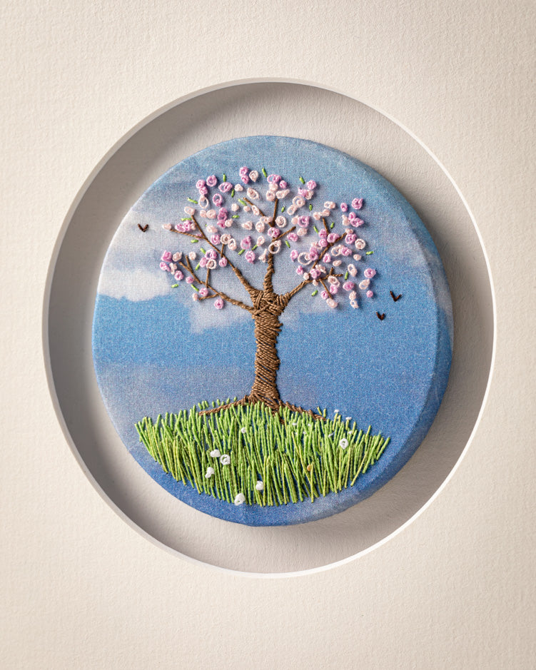 Cherry Blossom