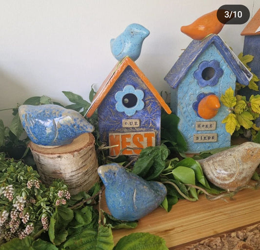 Build a birdhouse
